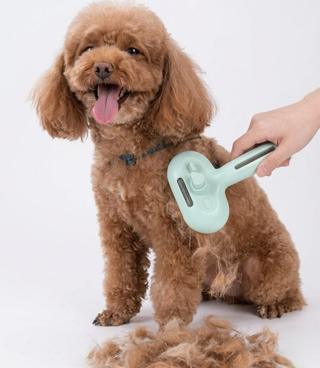 Brosse Vapeur Apaisante SeniorPaws - Soin & Massage